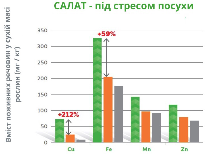 Amino Ultra Sałata